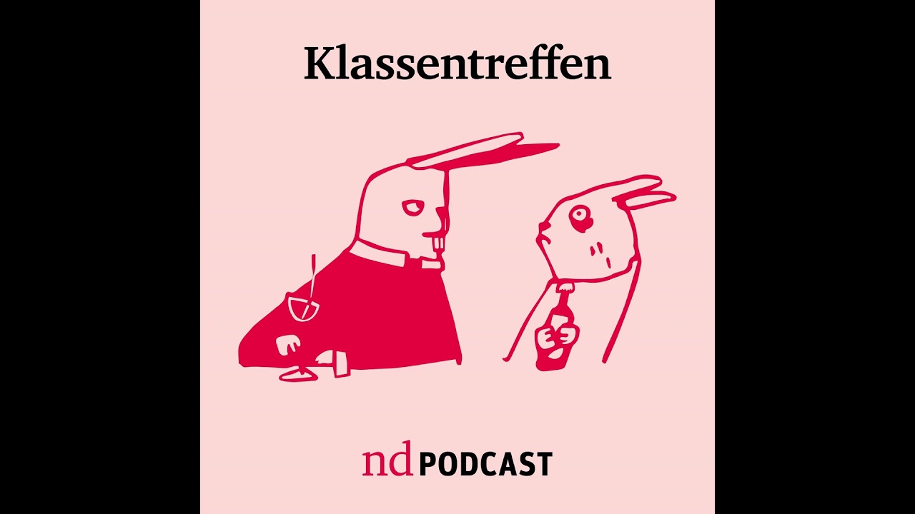 Arbeiterklasse zwischen Spaltung und Solidarität. Mit Nicole Mayer-Ahuja