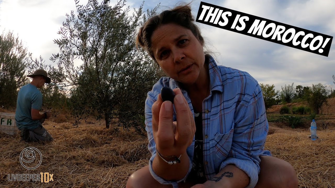 Authentic Morocco | Our First Workaway Experience