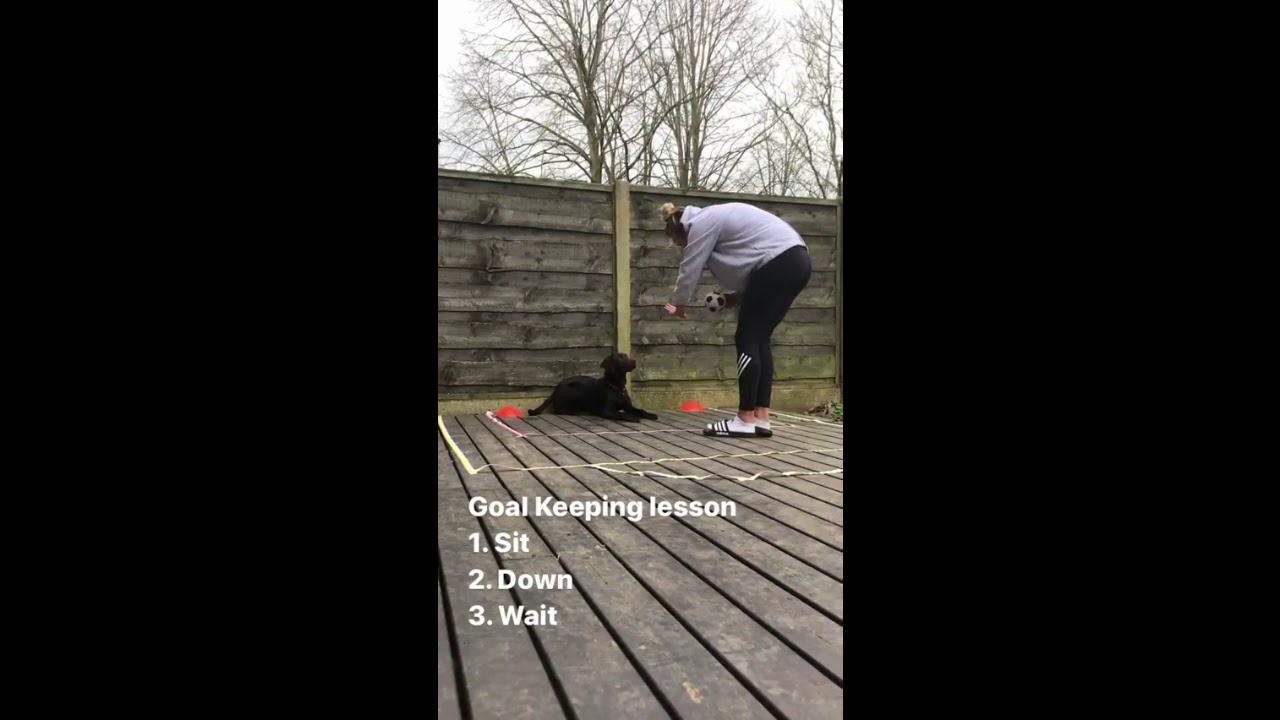 Claire Emslie tries to teach her dog to be a goalkeeper