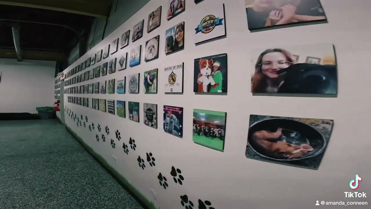 Come along with us as we take a tour through our daycare facility.
