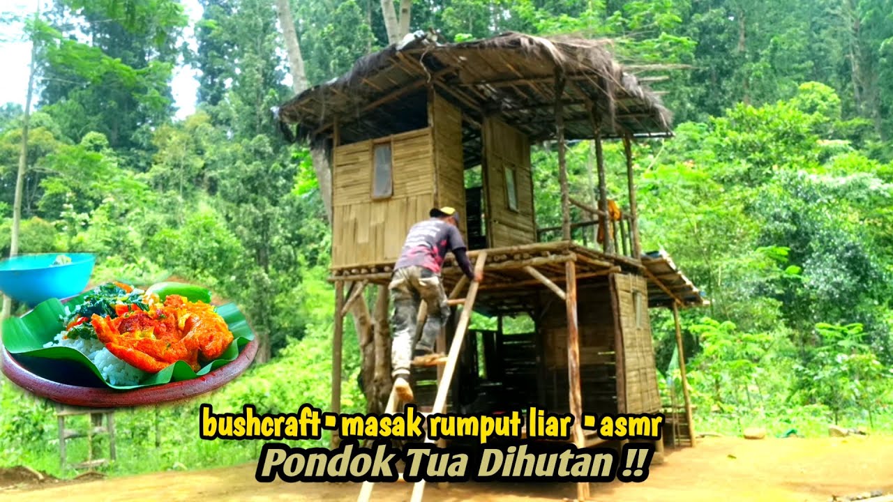 pondok tua di hutan! bushcraft memasak rumput liar yang lezat