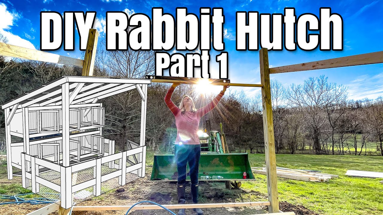 Building a DIY Rabbit Hutch Part 1 - Getting 4 Posts Plumb