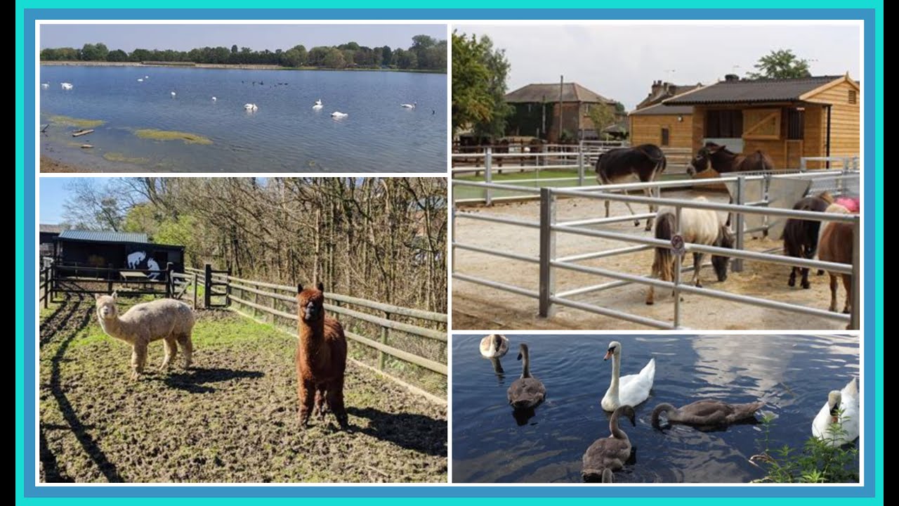 Aldenham Country Park  I Day Out With The Kids