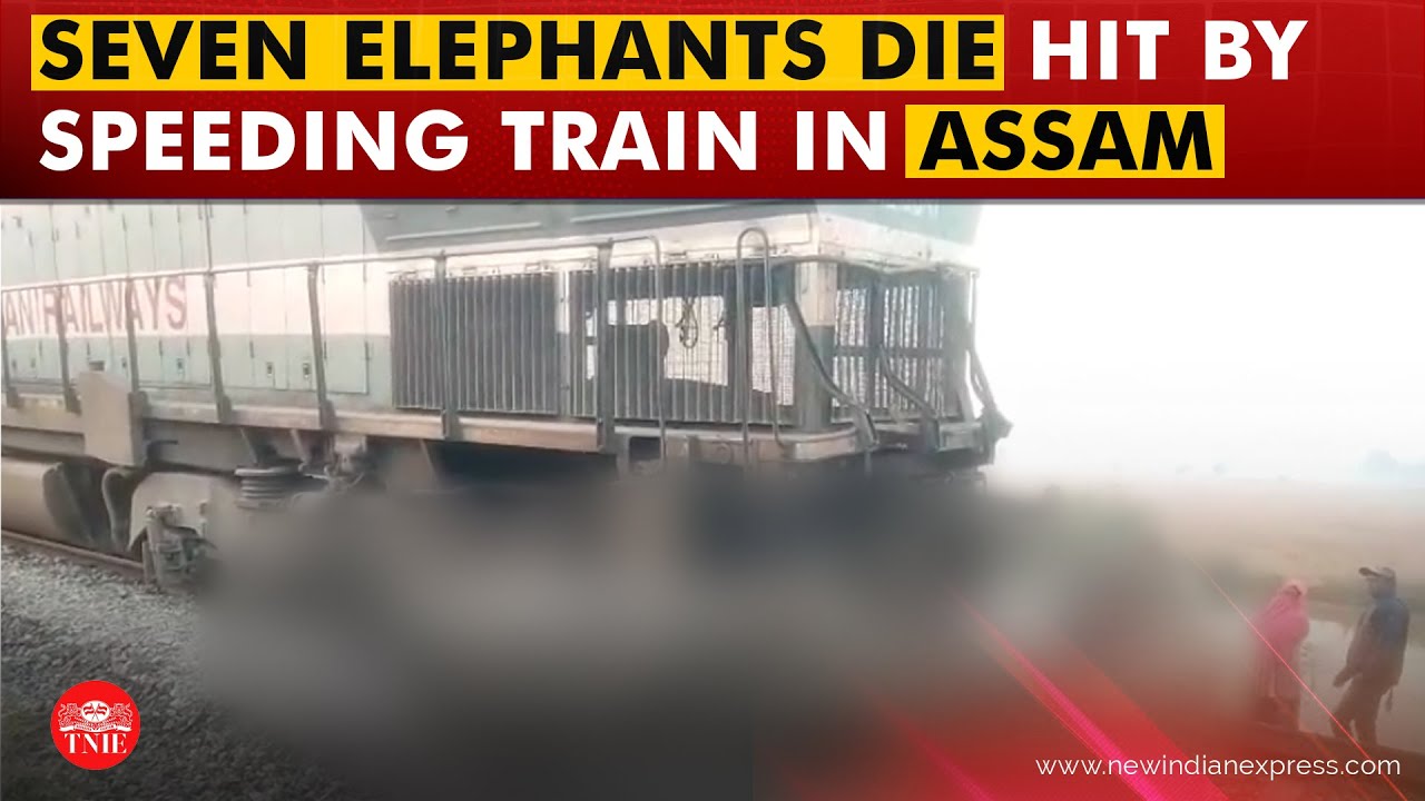 Rajdhani Express hits elephant herd killing seven jumbos, five coaches of the train derailed