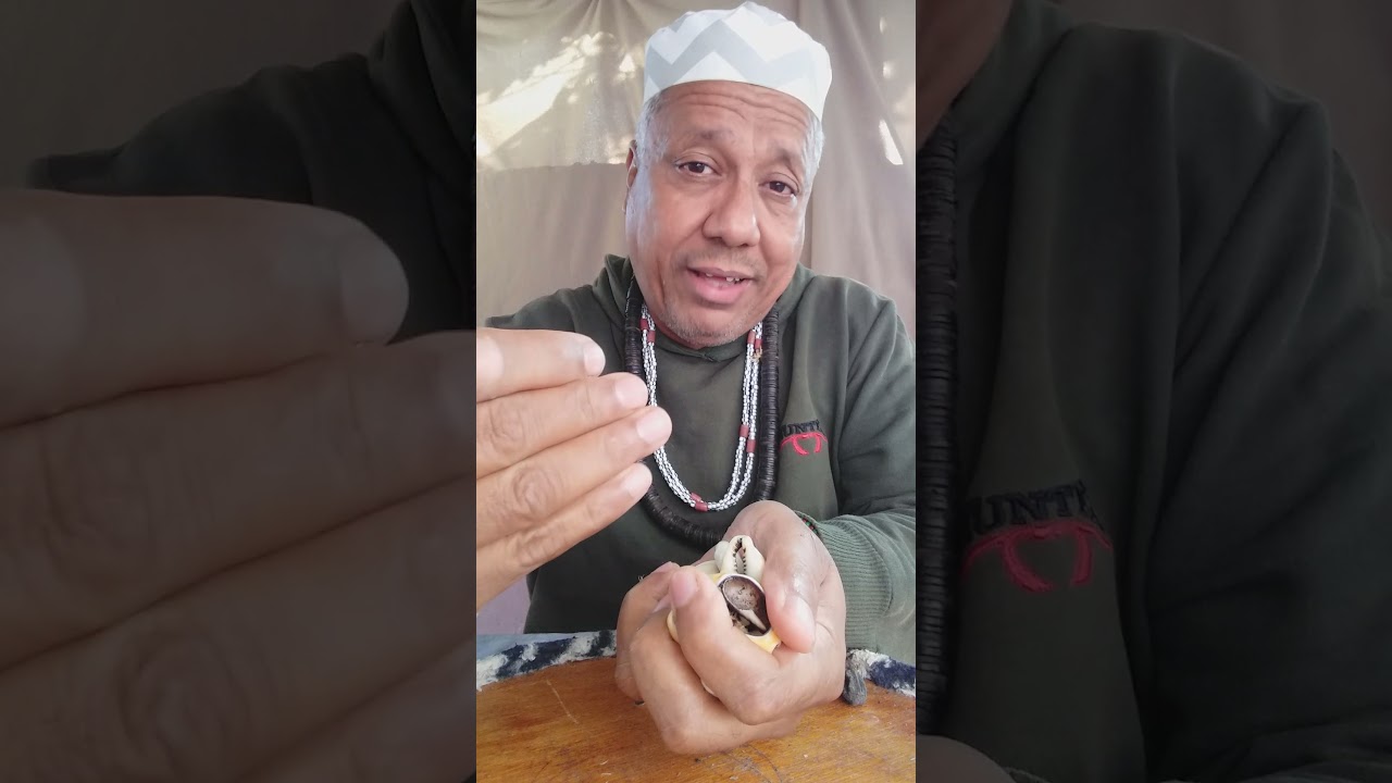 Ebó por odu como se tira através  do  merindilogun,  21 979033105