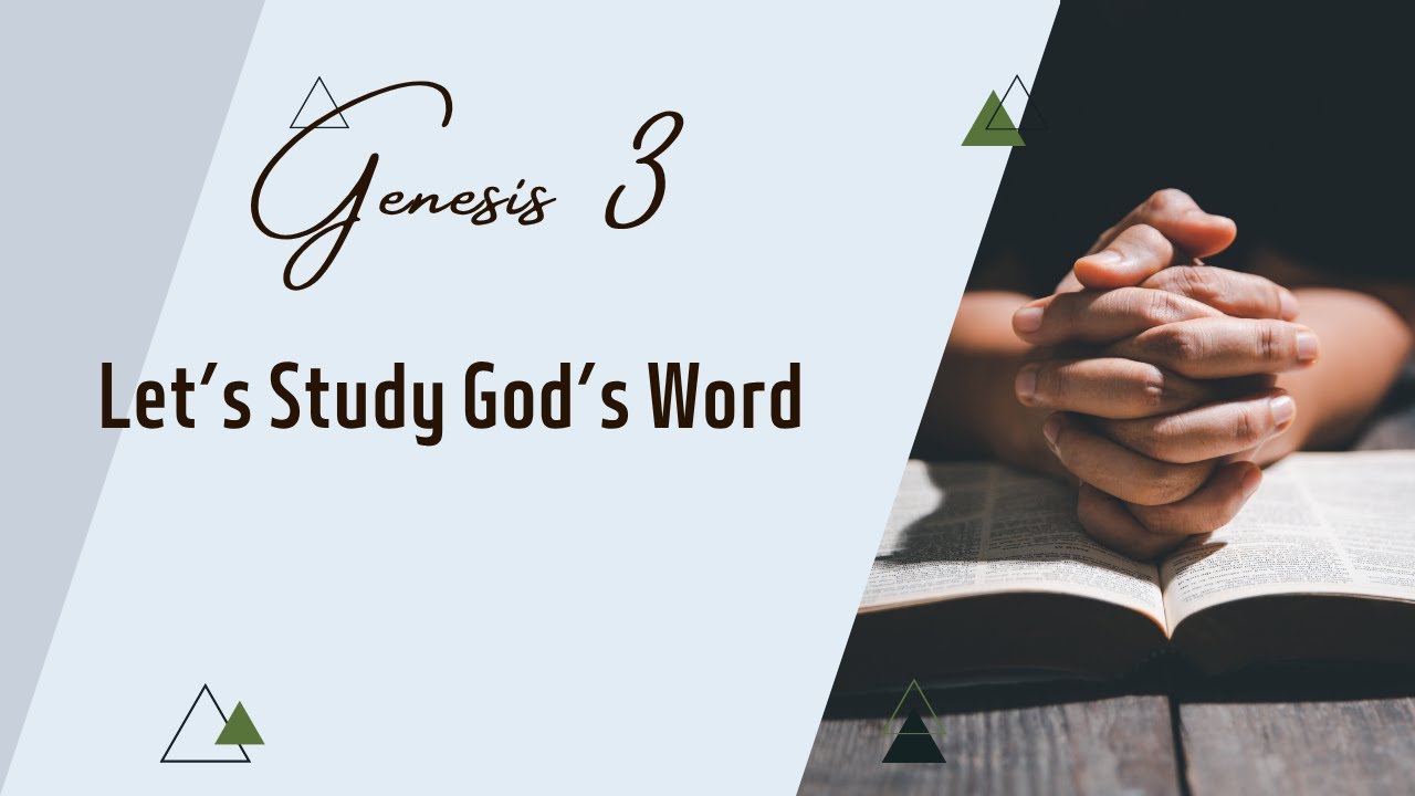 Genesis 3 - Temptation, Sin & Redemption |Bible Reading with Peaceful Music