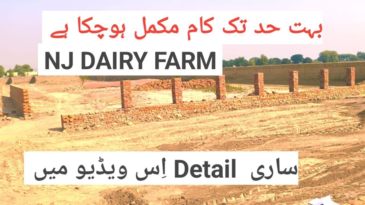 🐄 NJ Dairy Farm | Kaam Kafi Hud Tak Mukammal! New Update 2025 🏗️  80% Kaam Complete Final Look Soon!