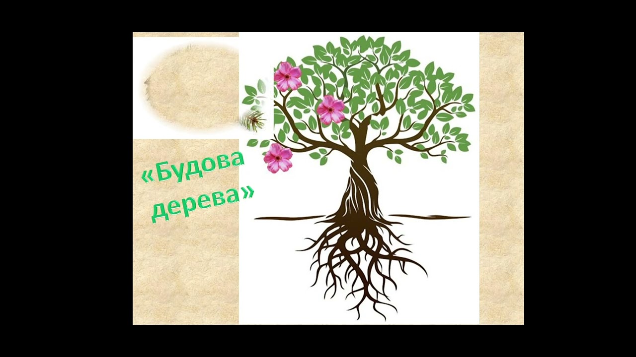 Розвиток мовлення 