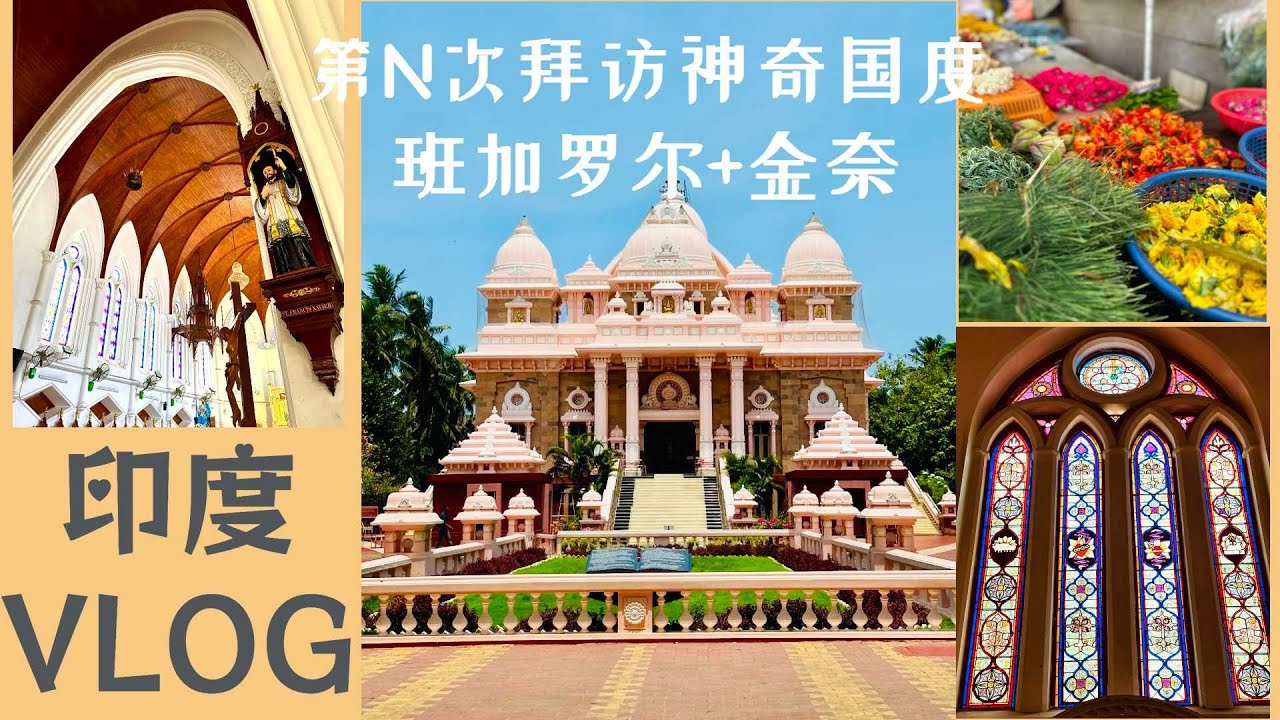 印度出差 | 开始有点喜欢印度了 | 神奇国度开箱 | VLOG | 金奈 | 班加罗尔 | DISCOVER CHENNAI | CHENNAI | BANGALORE | SOUTH INDIA