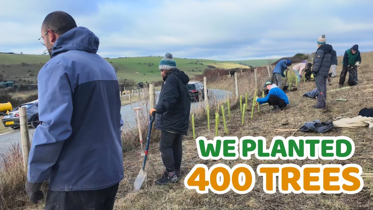 Ep 3: Restoring Hedgerow Habitat with Benfield Wildlife & Conservation Group