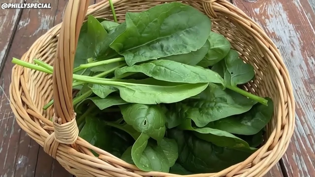 20 Most Productive Crops You Must Plant in December Before it's Too Late!