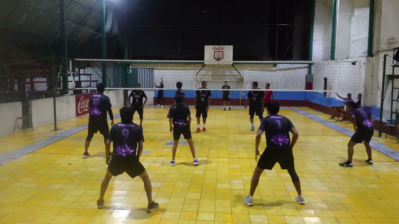 LOTUS VS ZORROS SET 2 9-02-26