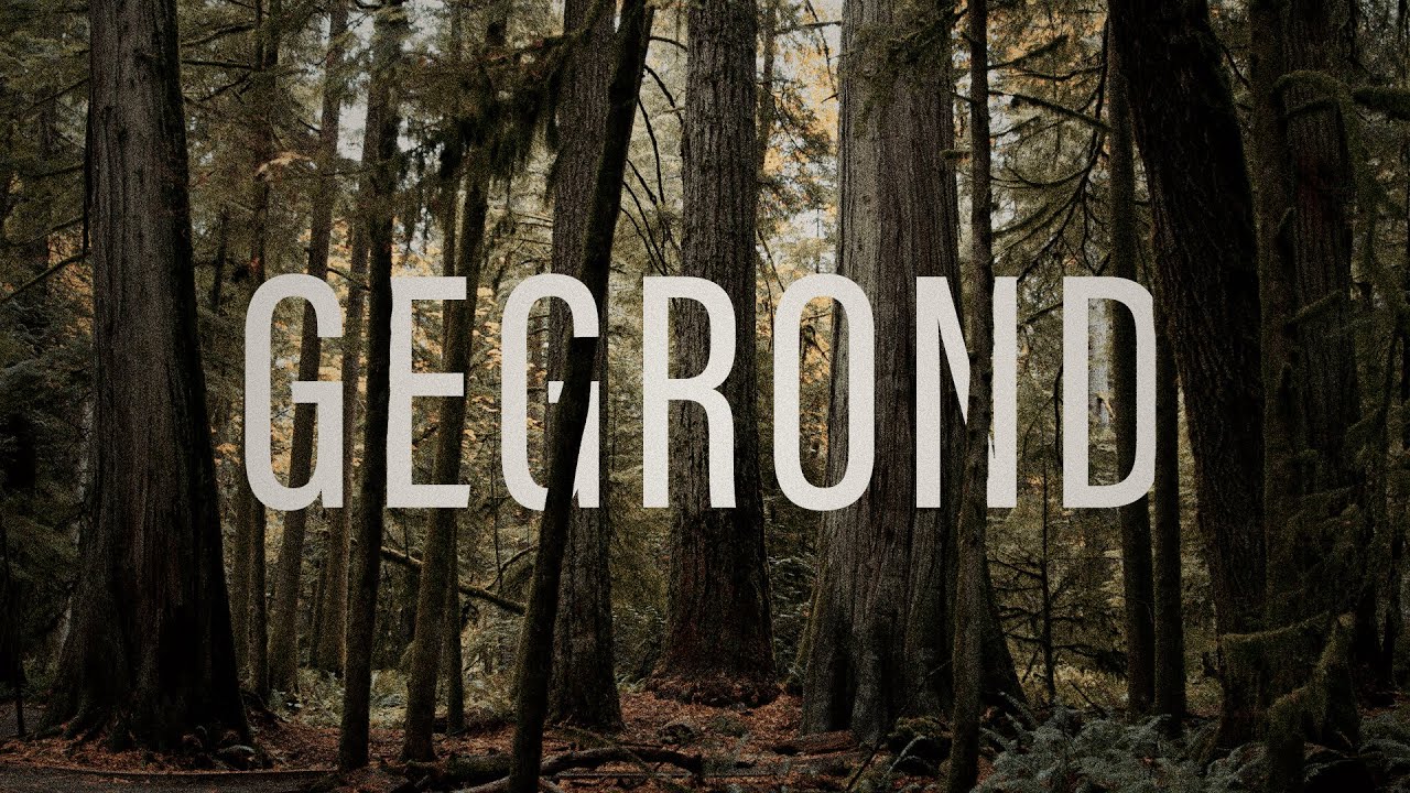 Emille Steyn | Gegrond