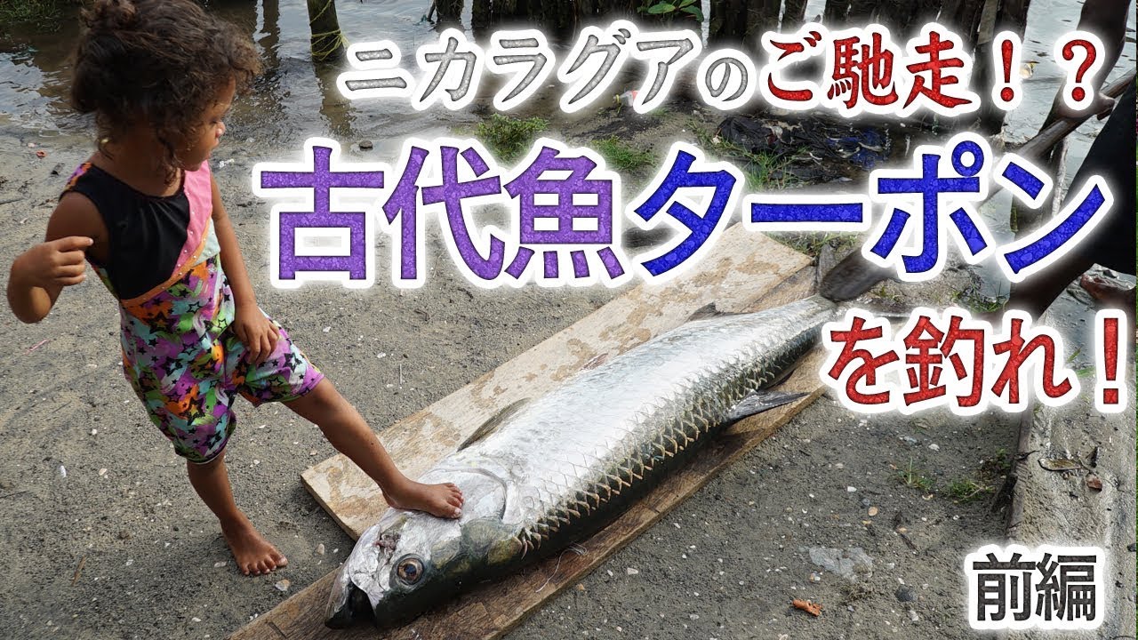 世界一不味い魚！？魅惑の古代魚・ターポン前編【ゲテモノチャレンジ第１５弾】