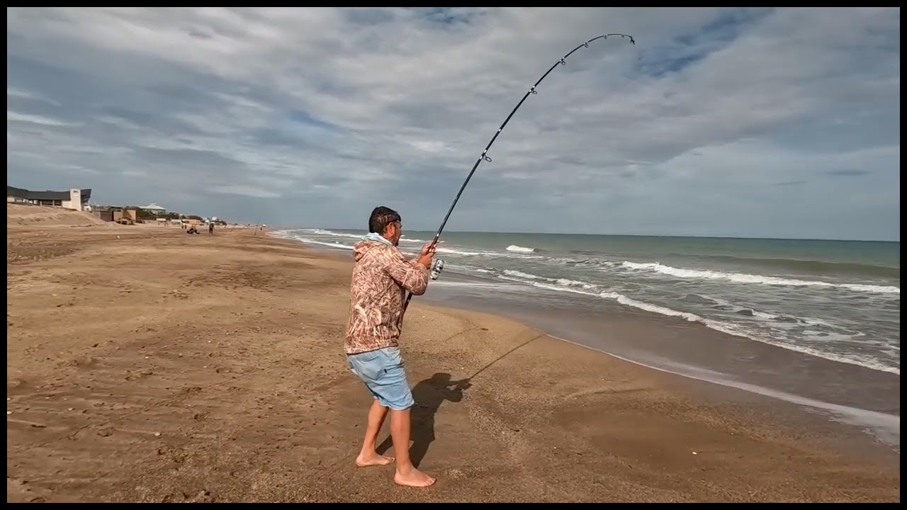 PESCA DE PEZ ELEFANTE, GALLO O BANDERITA UNA PESCA EMOCIONANTE, LINEAS Y CONSEJOS