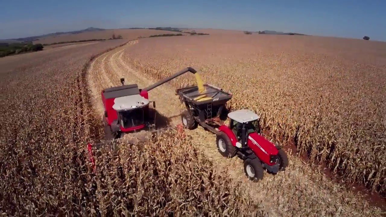 Cosechadora MF 6690 Hibrida en español (video de producto)
