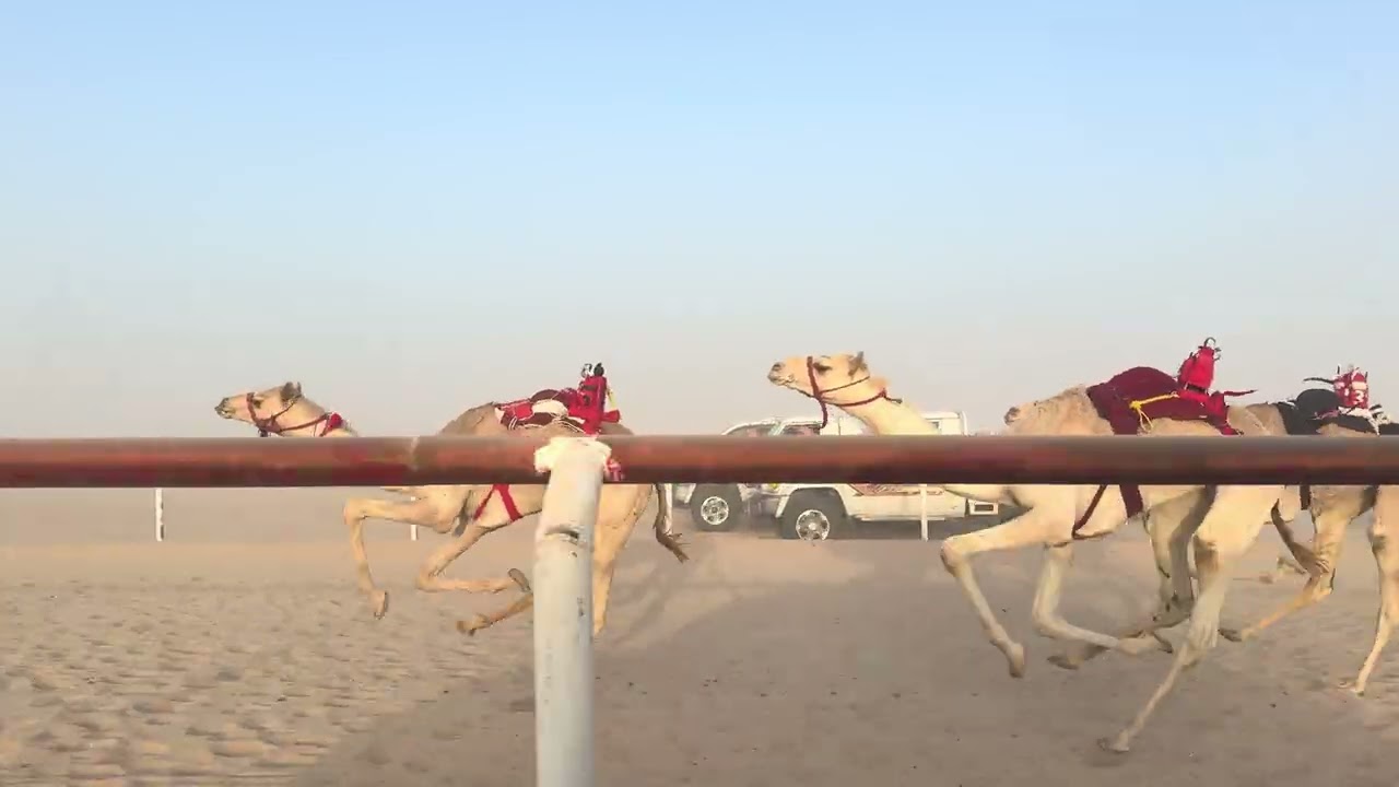 الشوط الرابع 