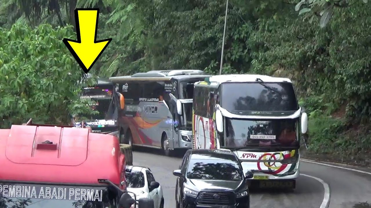 HEBOH‼️Bus Miyor Kejar Bus Npm Di Tanjakan Sitinjau Lauik, Bus Nyalip Di Rusang Sempit