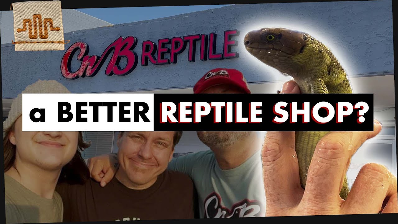 Reptile Store of the FUTURE? | CNB REPTILES