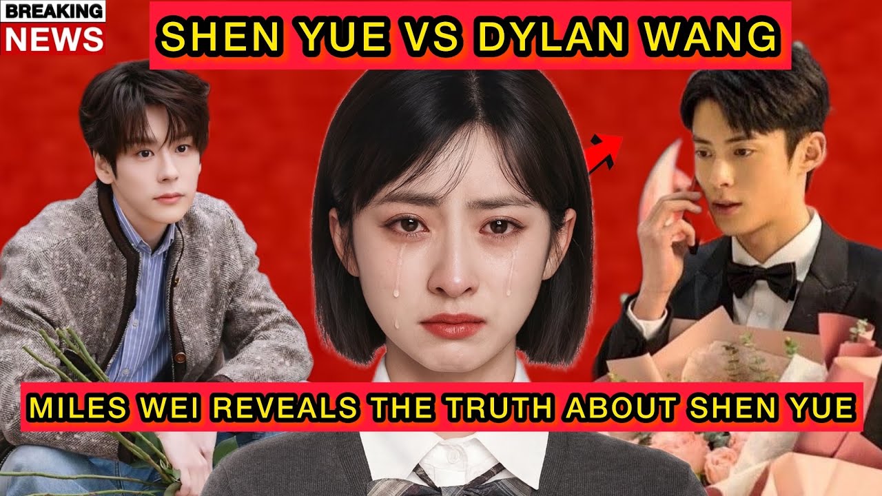 Shen Yue Deserves More Than Dylan Wang Gives — Miles Wei Finally Explains Why #dylanwang
