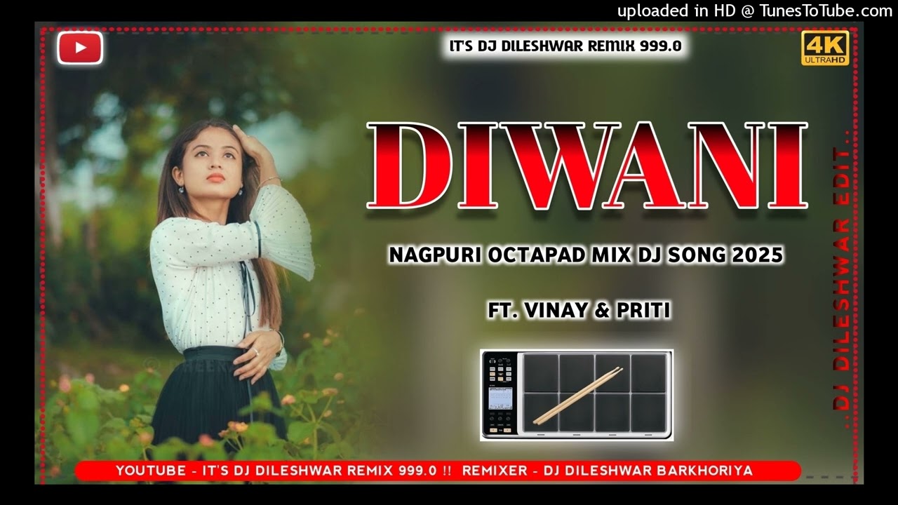 DIWANI!! NEW NAGPURI DJ OCTAPAD REMIX SONG 2025!! IT'S DJ DILESHWAR REMIX 999.0