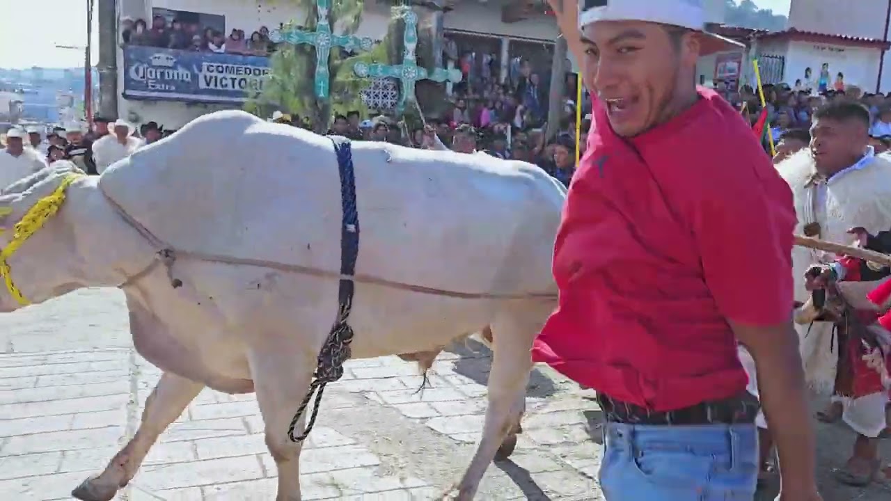 Corrida de Toros Carnaval  San Juan Chamula ,Chiapas. Parte 1