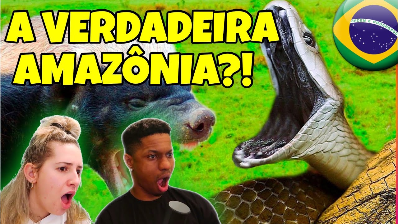 🇧🇷 (A GENTE VAI FUGIR DA AMAZONIA) GRINGA REAGE A 10 CRIATURAS MORTAIS DA AMAZÔNIA !! 😱