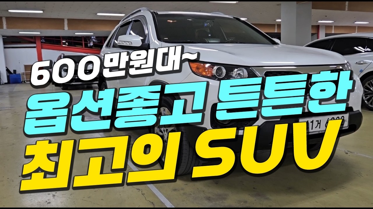 옵션 좋고 넓어서 쓰기 편한~⭐ 최고의 SUV 중고차 추천!!