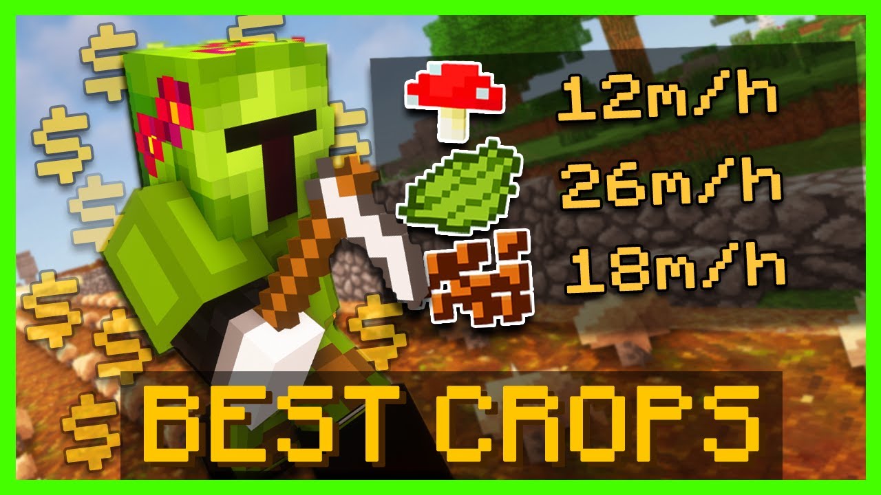 Лучшие культуры для выращивания | Hypixel Skyblock