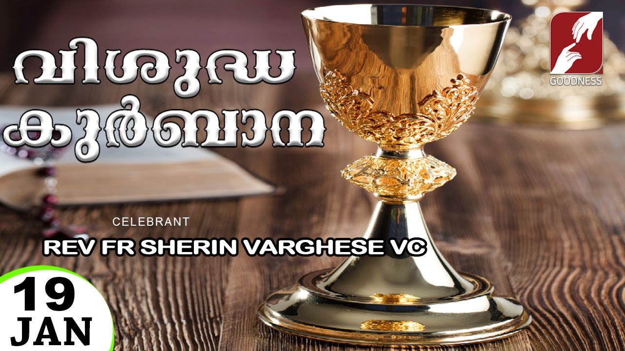 HOLY MASS LIVE @ 6 AM, 19-JAN-2026|FR SHERIN VARGHESE VC|MALAYALAM QURBANA|TODAY MASS|GOODNESS TV