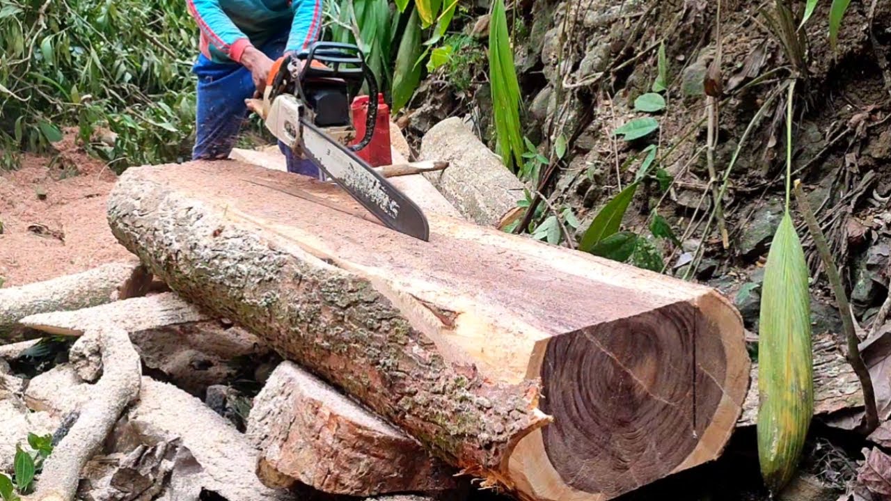 Keterampilan membelah kayu,membuat balok with chainsaw ms 382