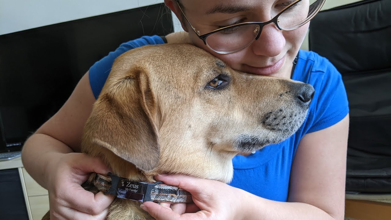 Personalized Dog Tag - We are so happy we got this!