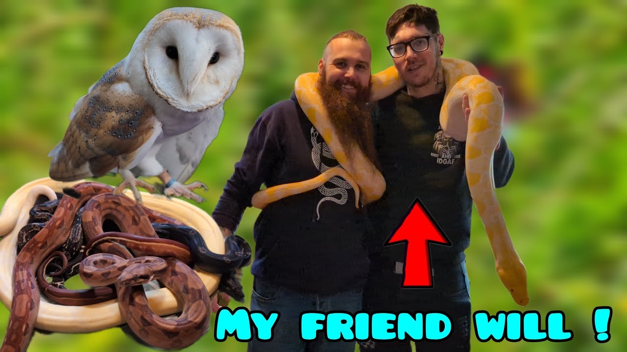 house full of amazing animals!