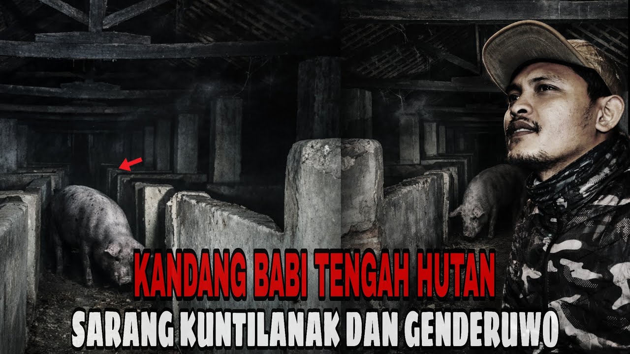 VIRAL MOJOKERTO !! MASUK KANDANG BABI, SARANG KUNTILANAK DAN GENDERUWO