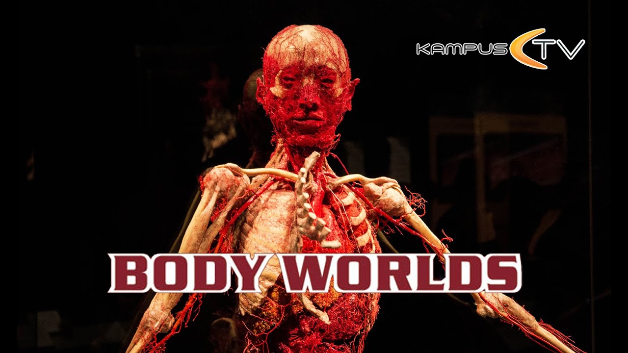 WrocLife: Wystawa Body Worlds || KampusTV