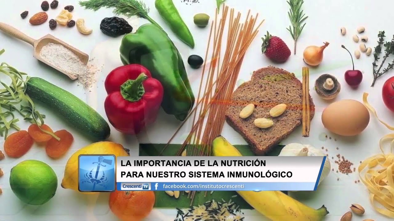 La importancia de la alimentación para nuestro cuerpo