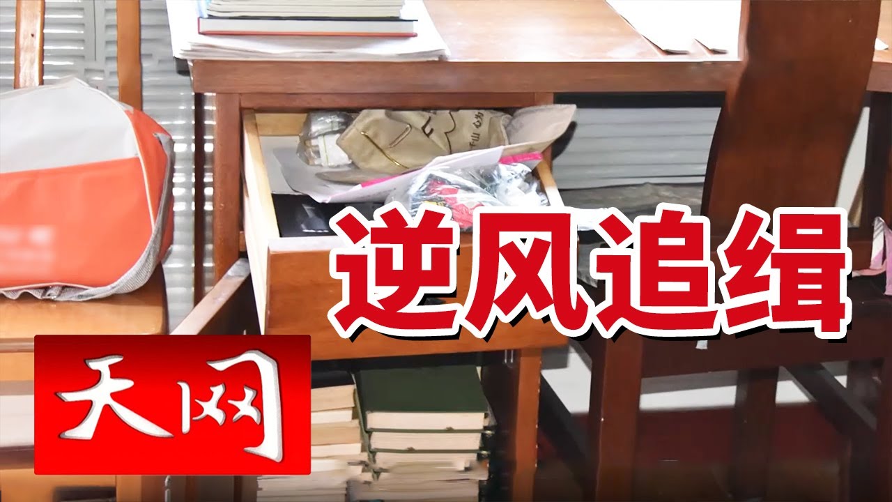 《天网》山西车辆极速飞驰！背后竟隐藏着惊人秘密！20250226