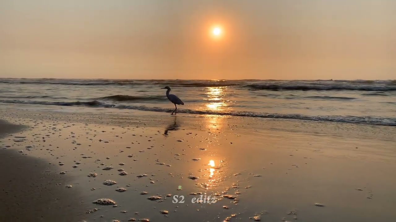 Chembaruthi (1992)𝓛𝓸𝓿𝓮 𝓑𝓰𝓶 || 𝓜𝓪𝓮𝓼𝓽𝓻𝓸 Ilayaraja