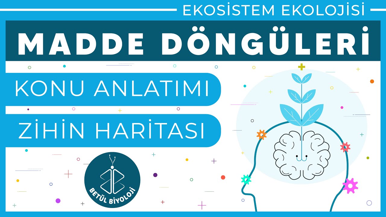 Madde Döngüleri | Konu Anlatımı | 10. Sınıf Biyoloji | TYT Biyoloji
