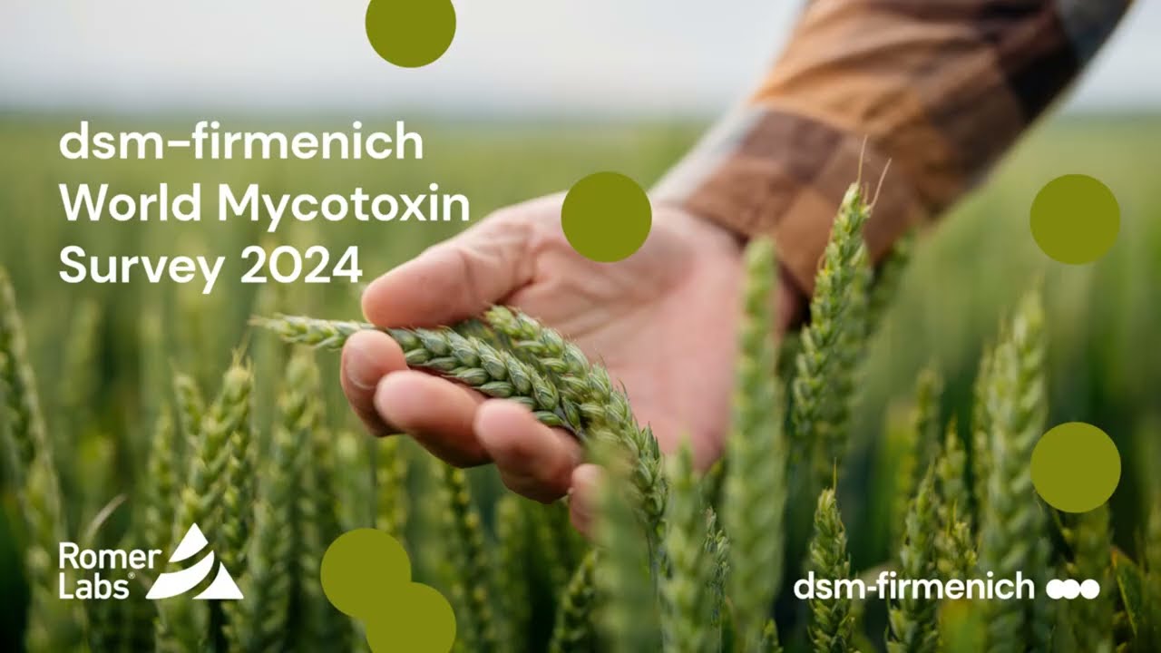 dsm-firmenich World Mycotoxin Survey 2024: Turkey, Middle East
