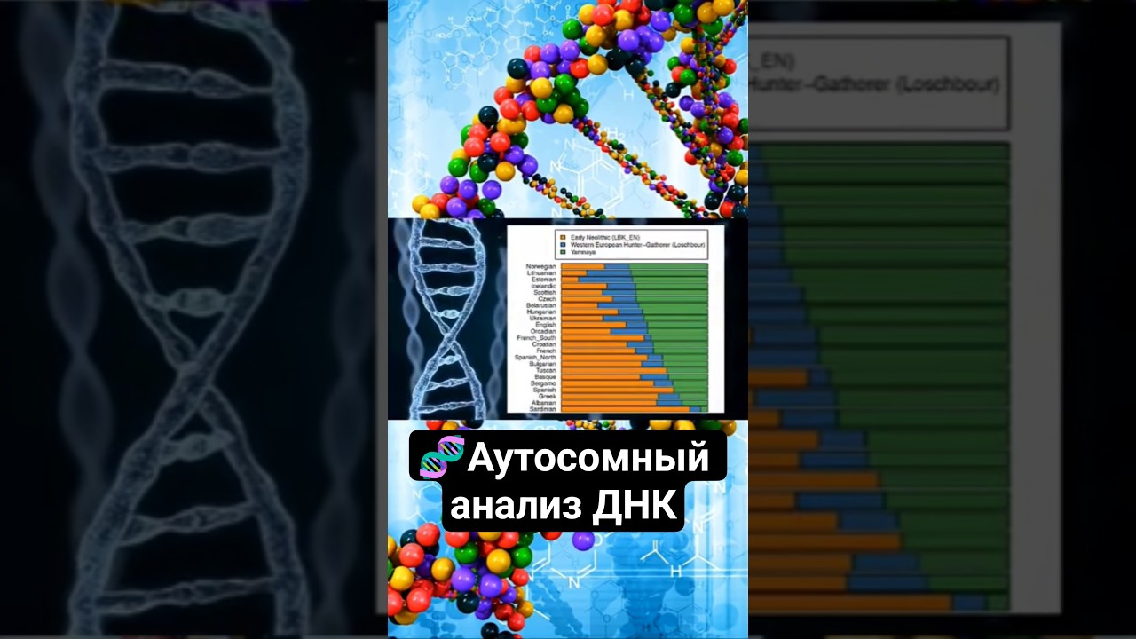 🧬 Аутосомный анализ ДНК 👆▶️