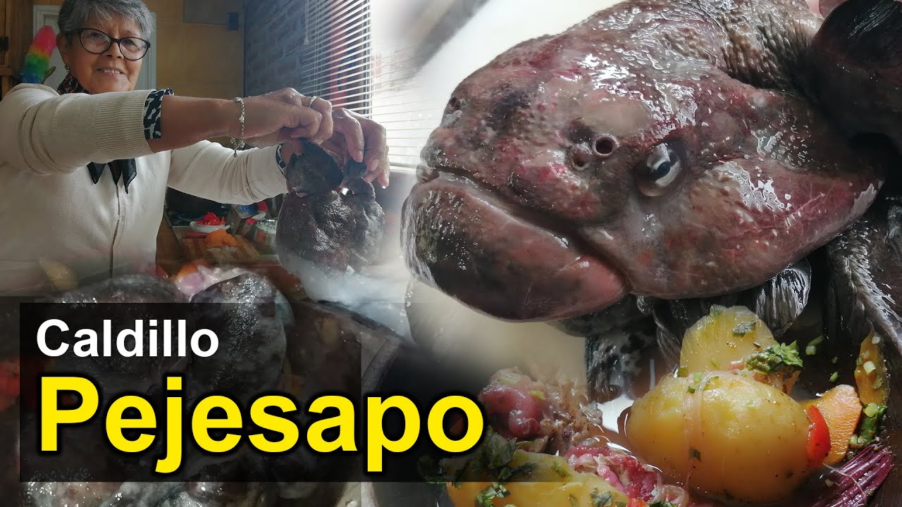 PEJESAPO,caldillo del pez mas feo:Sabor increible!!!