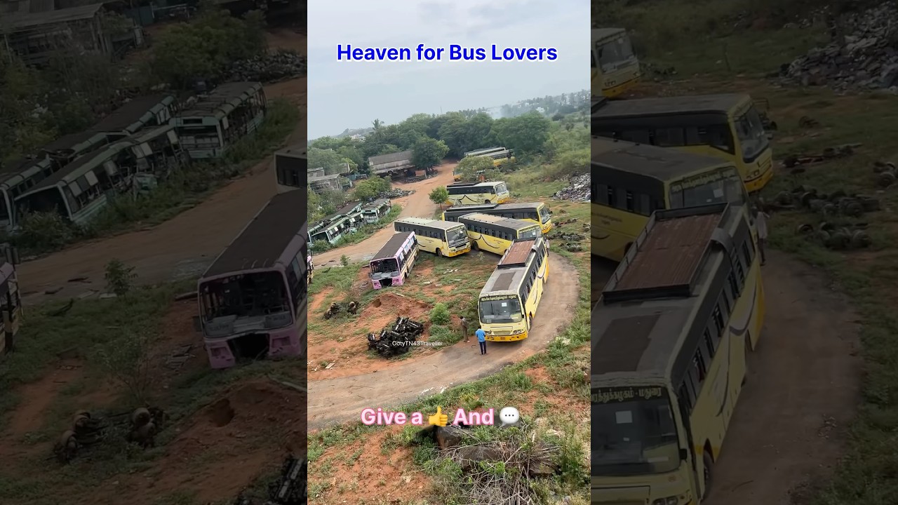 Massive TNSTC Bus Depot View | 100+ Scrap & Service Buses 🚍🏚