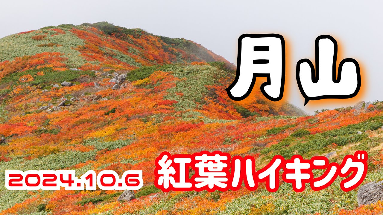 【山形県 月山】姥沢登山口からリフトに乗って楽々紅葉ハイキング 一度見たら忘れないほどの美しさ🍁✨ 紅葉2024