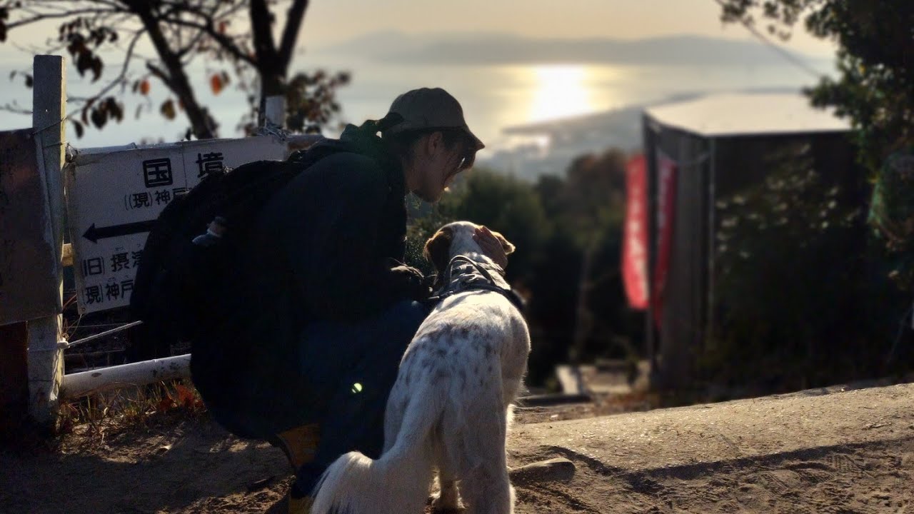 【六甲山系旗振山】夕焼けが綺麗な旗振山と須磨山上遊園の鉢伏山へ✨ 今回は鉄拐山から向かいました😊 相変わらずの絶景です👍