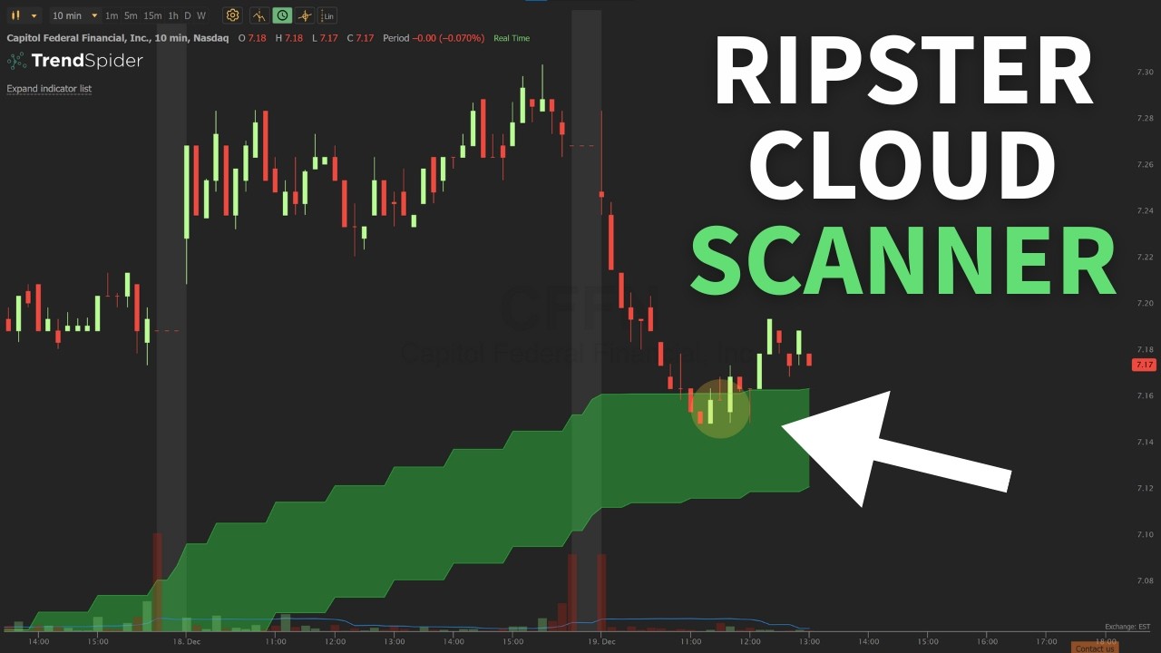 Объяснение работы облачного сканера Ripster MTF