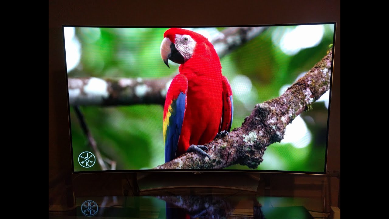 LG 55EG9100 OLED Live Demo and Review