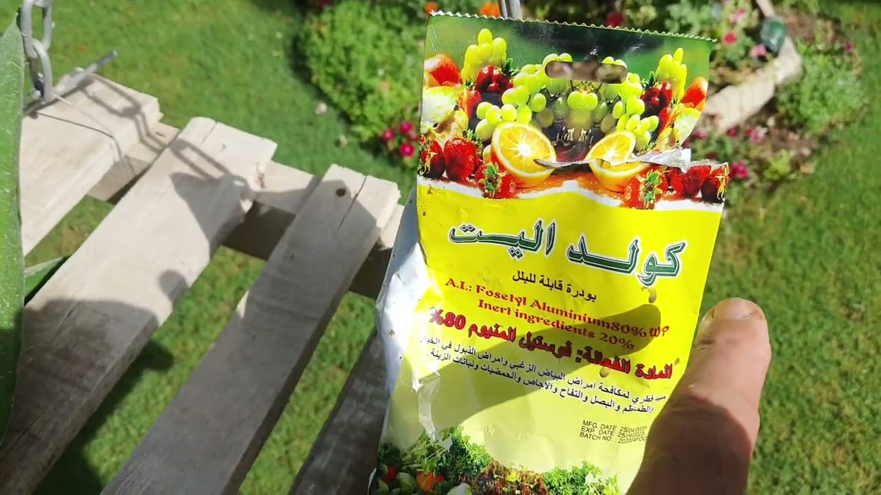 اسهل طريقة لإكثار نبات اليوكا والعناية به ⚘️جنتي حديقتي⚘️
