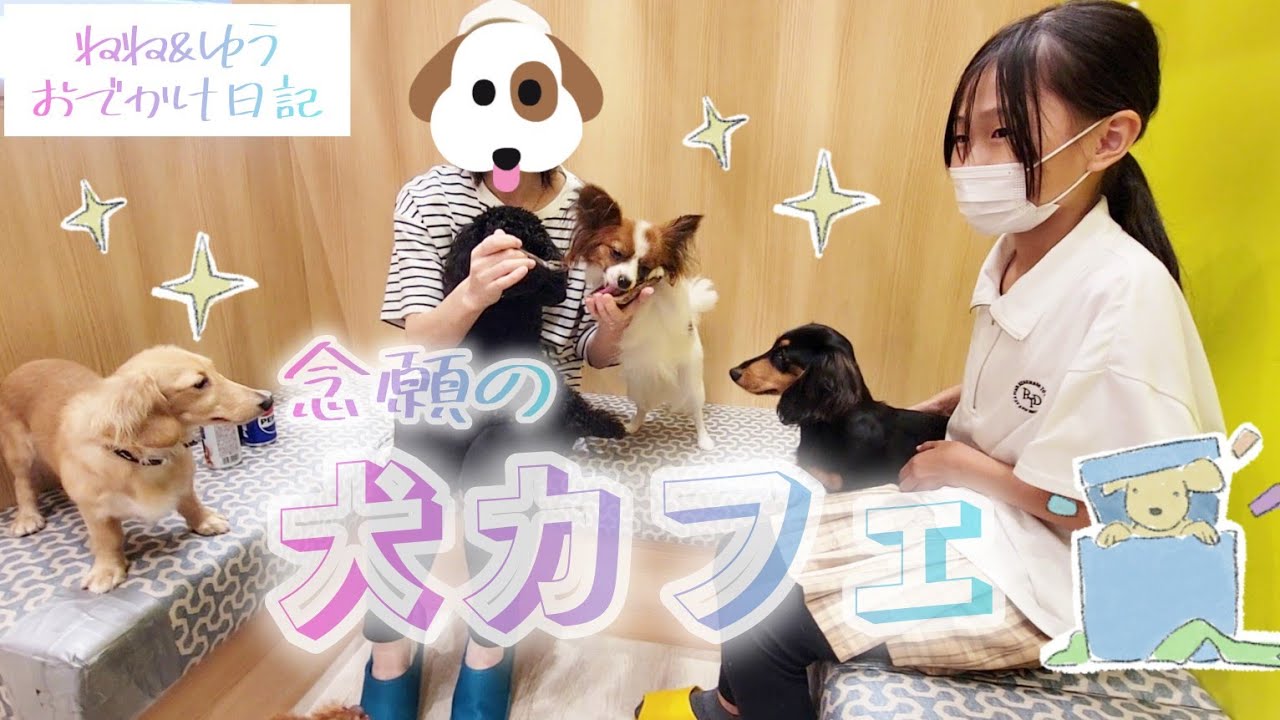 ★念願の犬カフェに行ってみたよ！