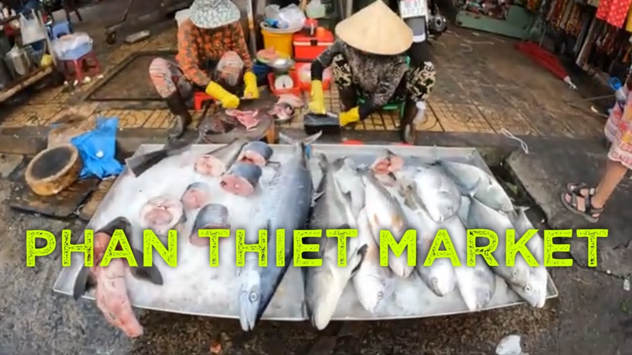 The Bazaar of Madness: Navigating Phan Thiet Market's Organized Chaos